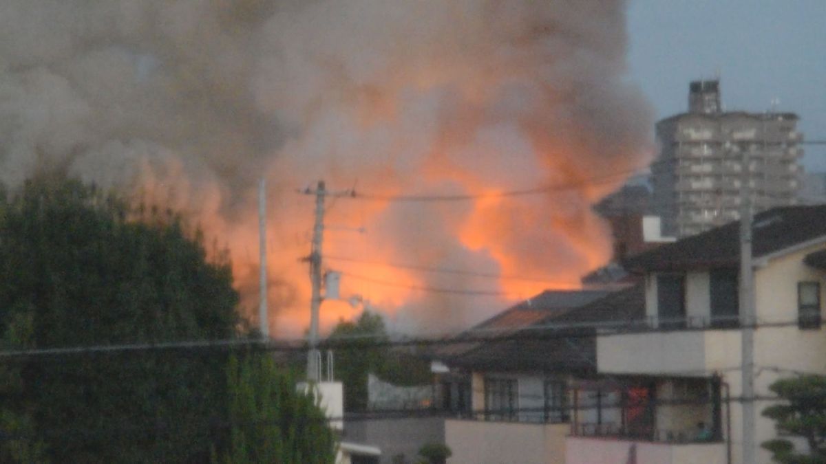 公の場での発言・インタビュー報道記録