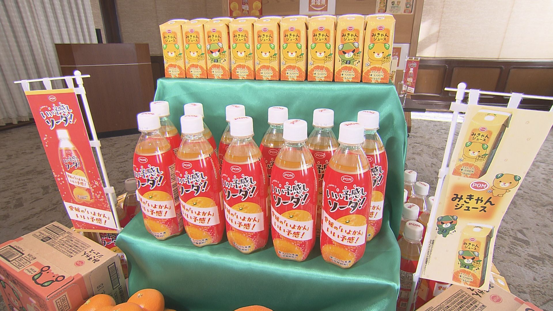 受験や就活を応援！愛媛県産いよかんで「いい予感しソーダ」1月中旬に