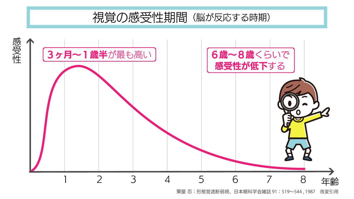 視覚の感受性期間