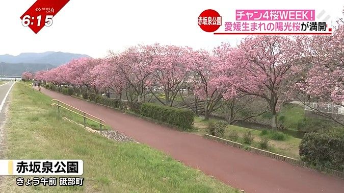 砥部町の赤坂泉公園 