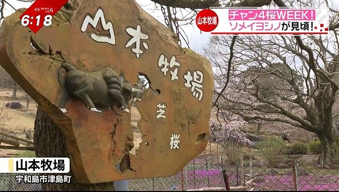 宇和島市津島町の山本牧場