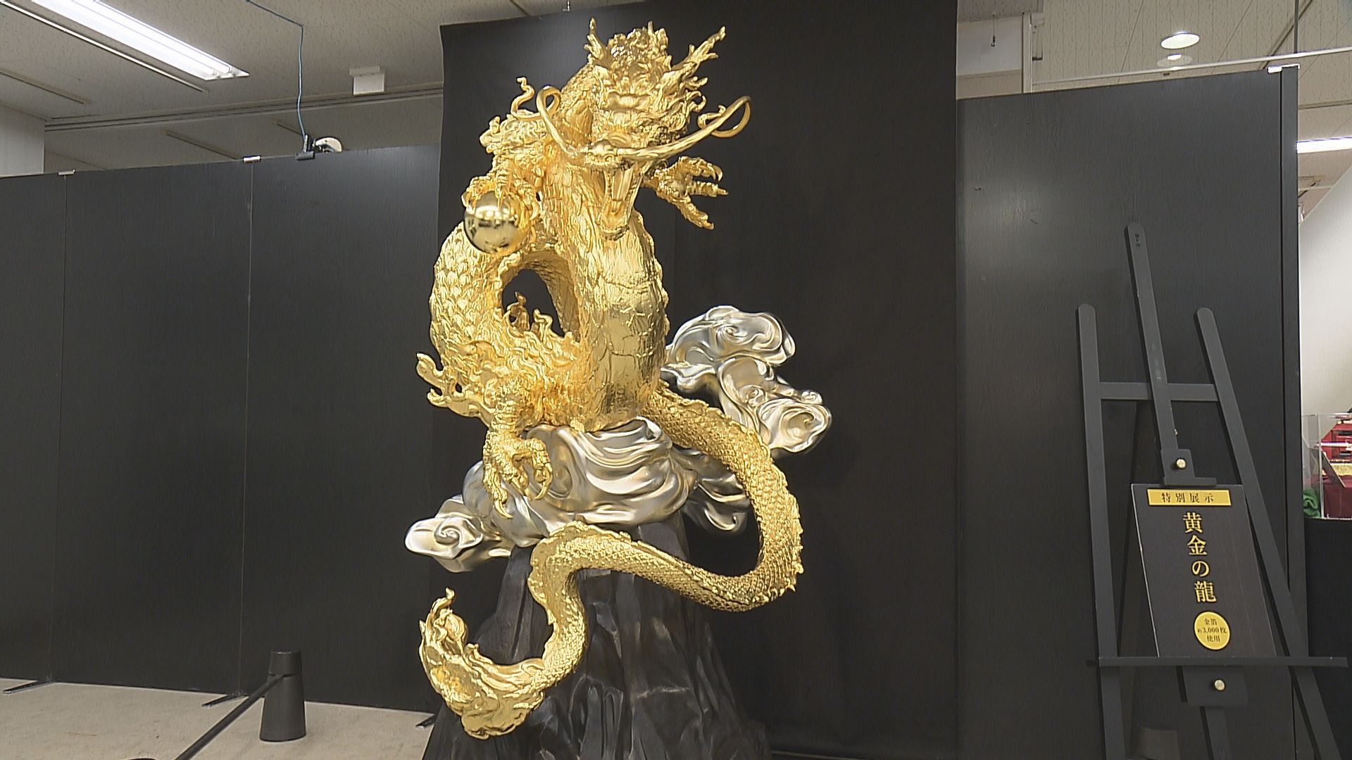 最高額は16億円超え！松山市のデパートで「大黄金展」始まる（2024年11