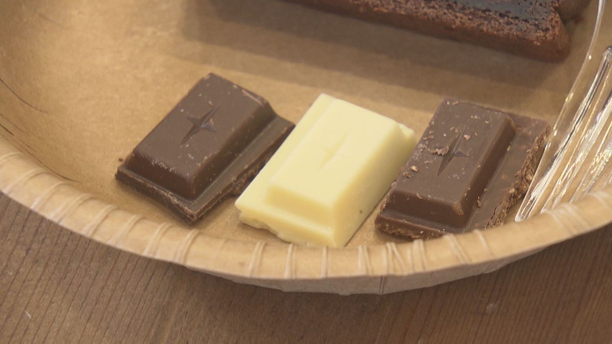 ベトナム産カカオを使った愛媛発のチョコレートが誕生 11月から季節限定販売