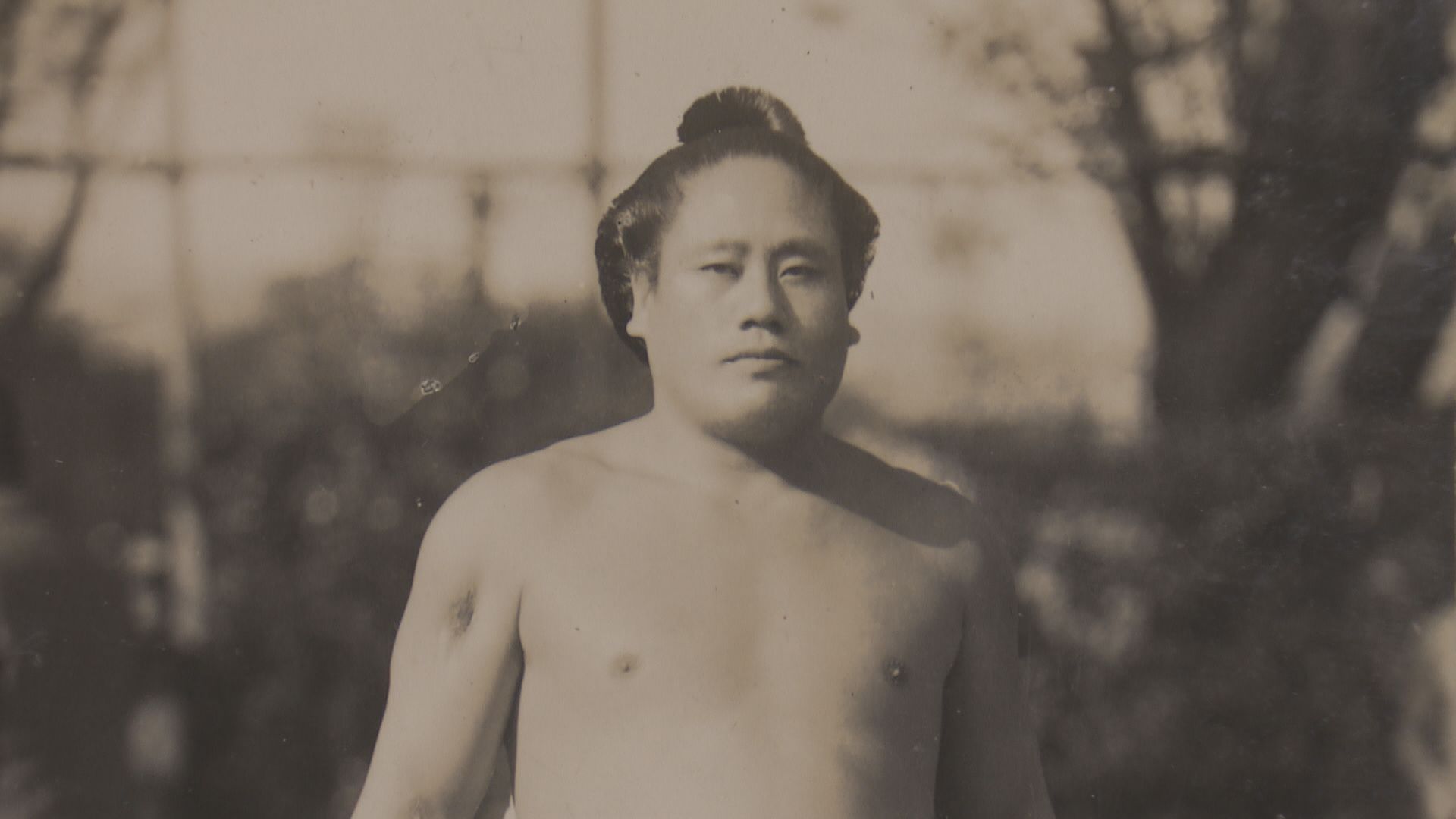 若手が大活躍の相撲界！破門を経験した異端の横綱『前田山英五郎』が