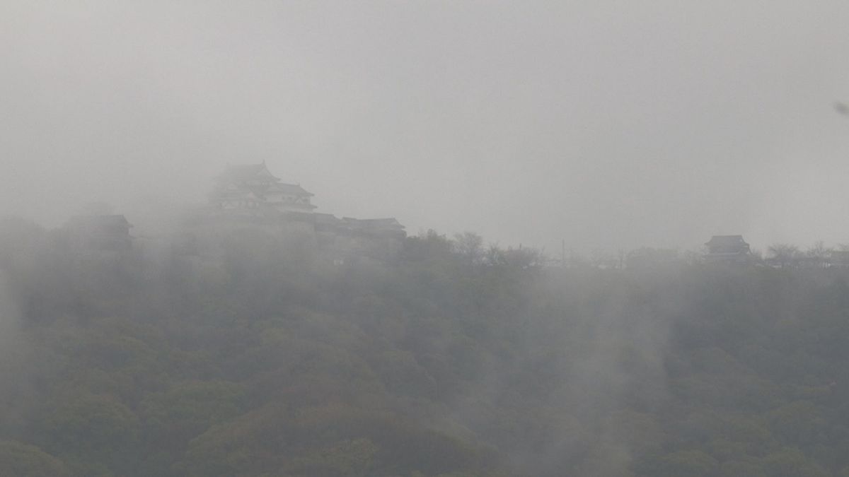 県内は雨模様　各地で霧も