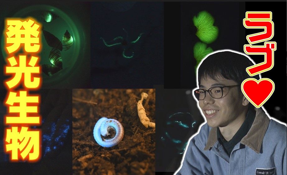 地球上に7000種以上…でも研究者は世界で数人!?謎だらけの“発光生物”に魅せられた大学生