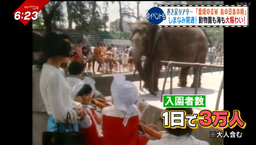 道後動物園 1972/5/5