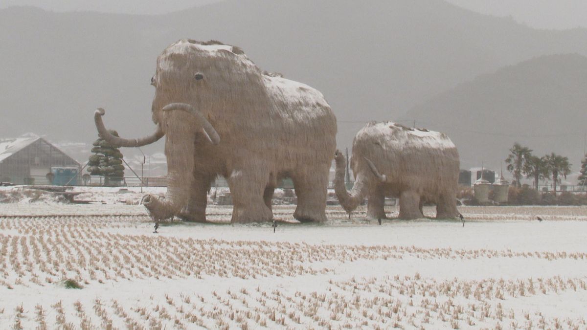 南予や中予の山間中心に雪 夕方にかけ南予の平地でも大雪の見込み【愛媛】