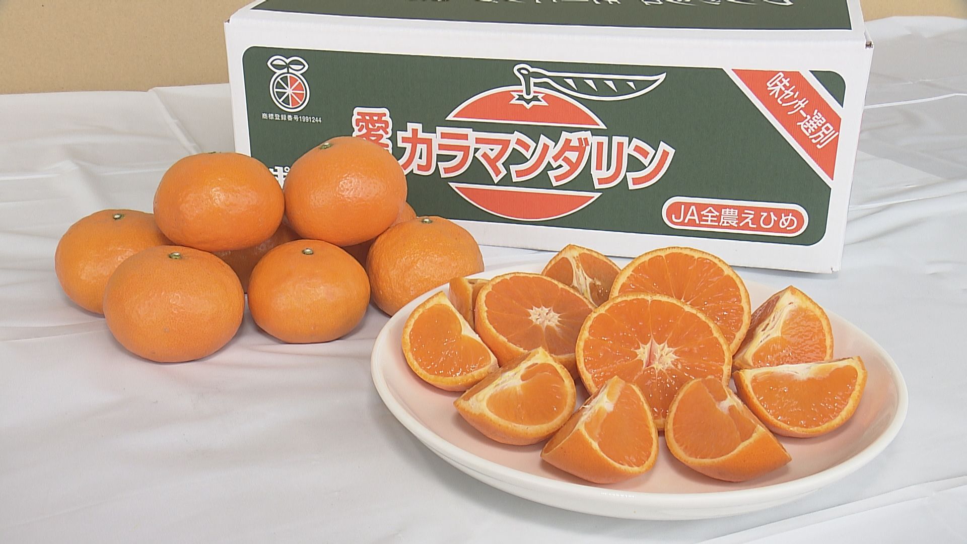 愛媛が生産量日本一の春みかん「カラマンダリン」選果作業スタート