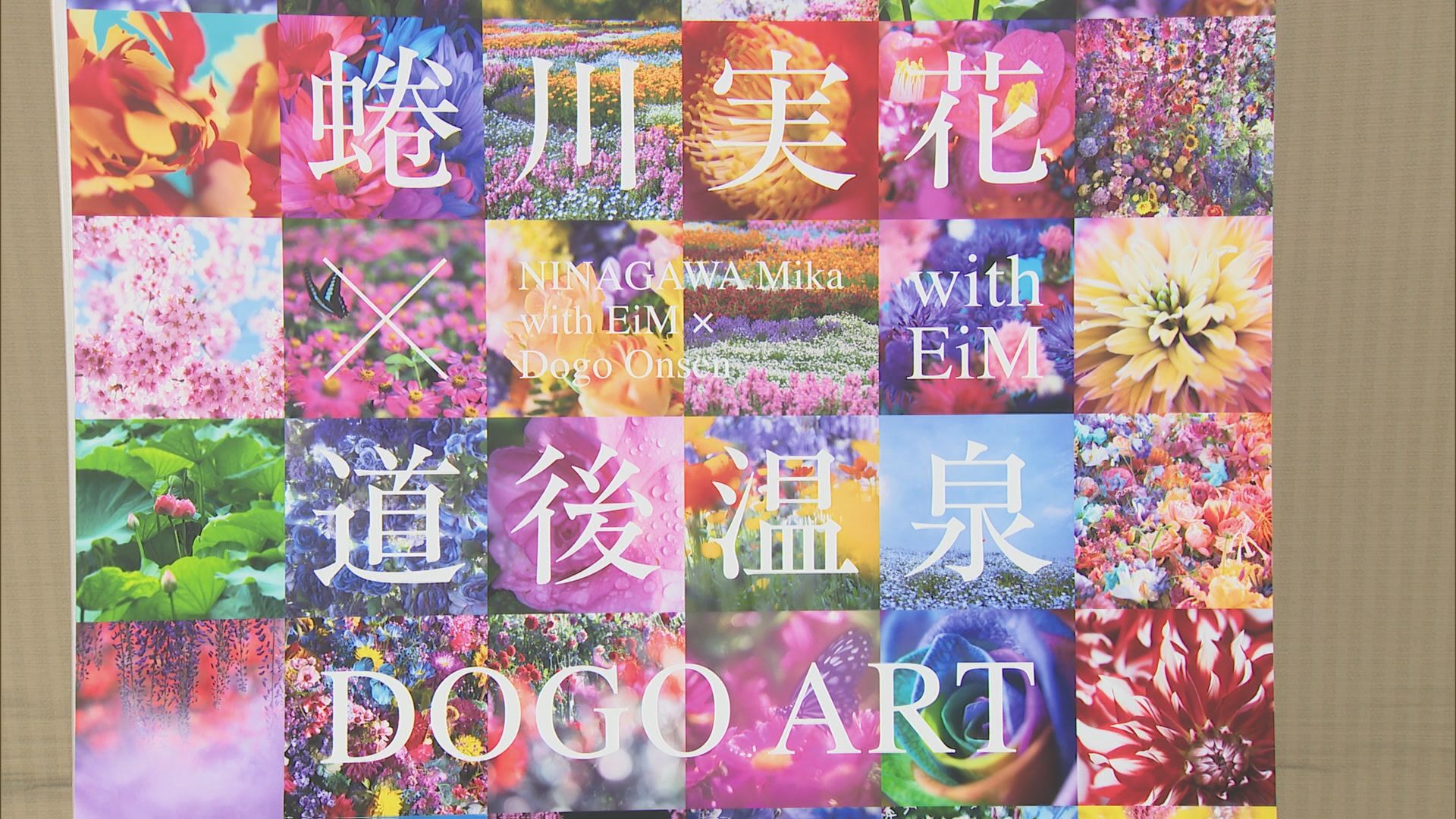 道後温泉と写真家・蜷川実花さんが4度目のタッグ 今秋アートイベント