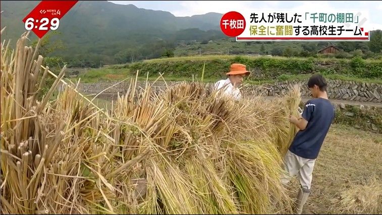 稲木かけを作る棚田チームメンバーと山路さん