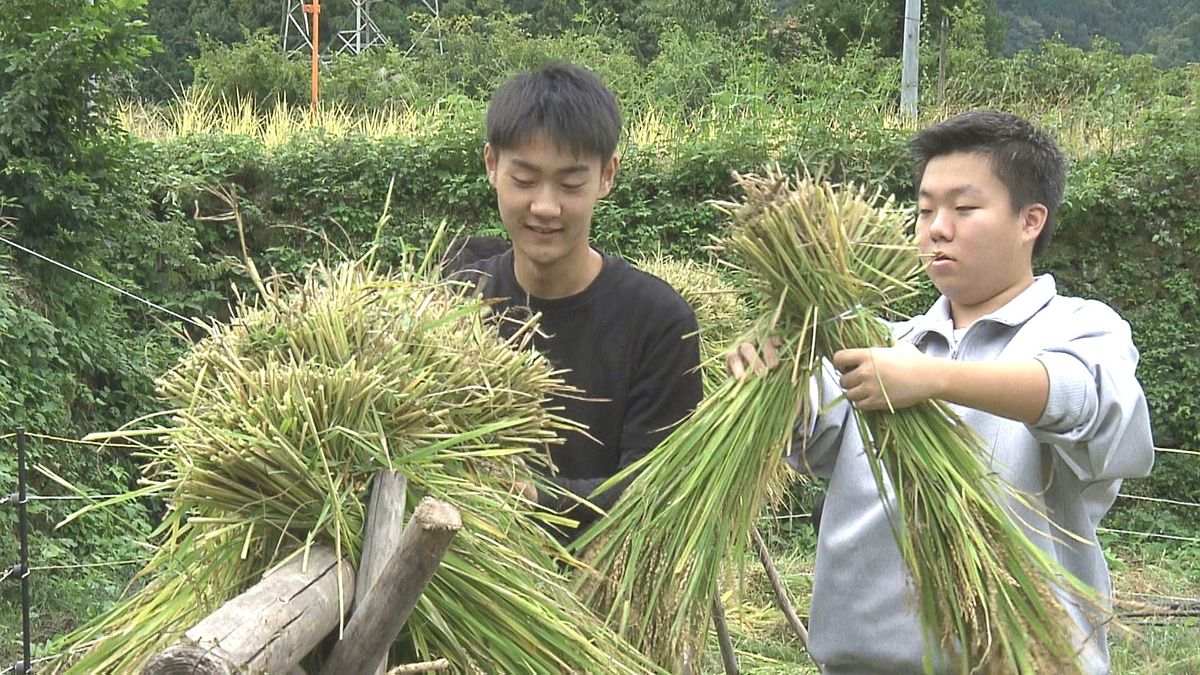 「僕らの力でなんとかしたい」かつての米どころは耕作放棄地に…地元高校生が“棚田保全”にかける情熱