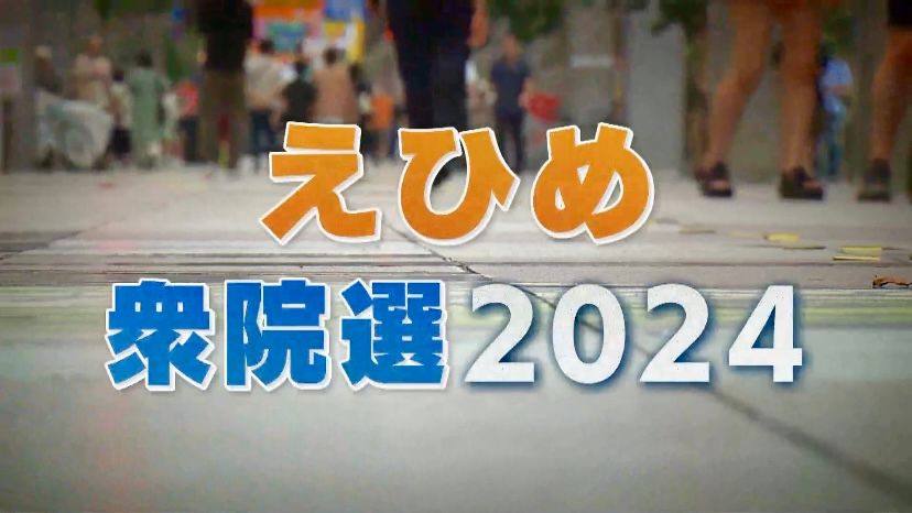 衆院選公示 12日間の選挙戦がスタート 愛媛の候補者は何を訴える？