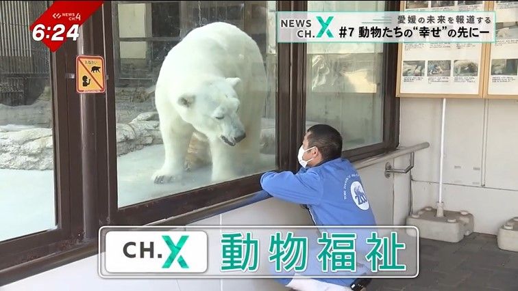 「動物福祉」でどう変わる？動物たちがストレスフリーに過ごすために…動物園・畜産業の取り組みとは