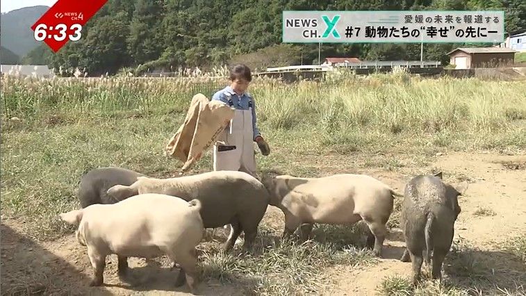 養豚農家の長岡慶さん