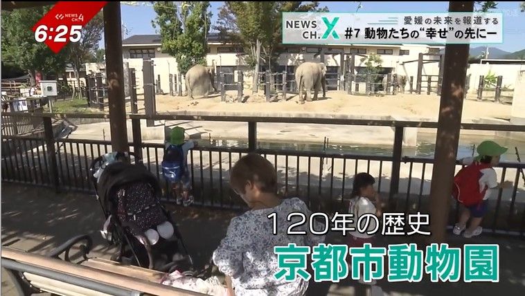 京都市動物園での取り組みは…