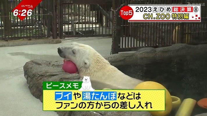 差し入れのブイや湯たんぽで遊ぶピース