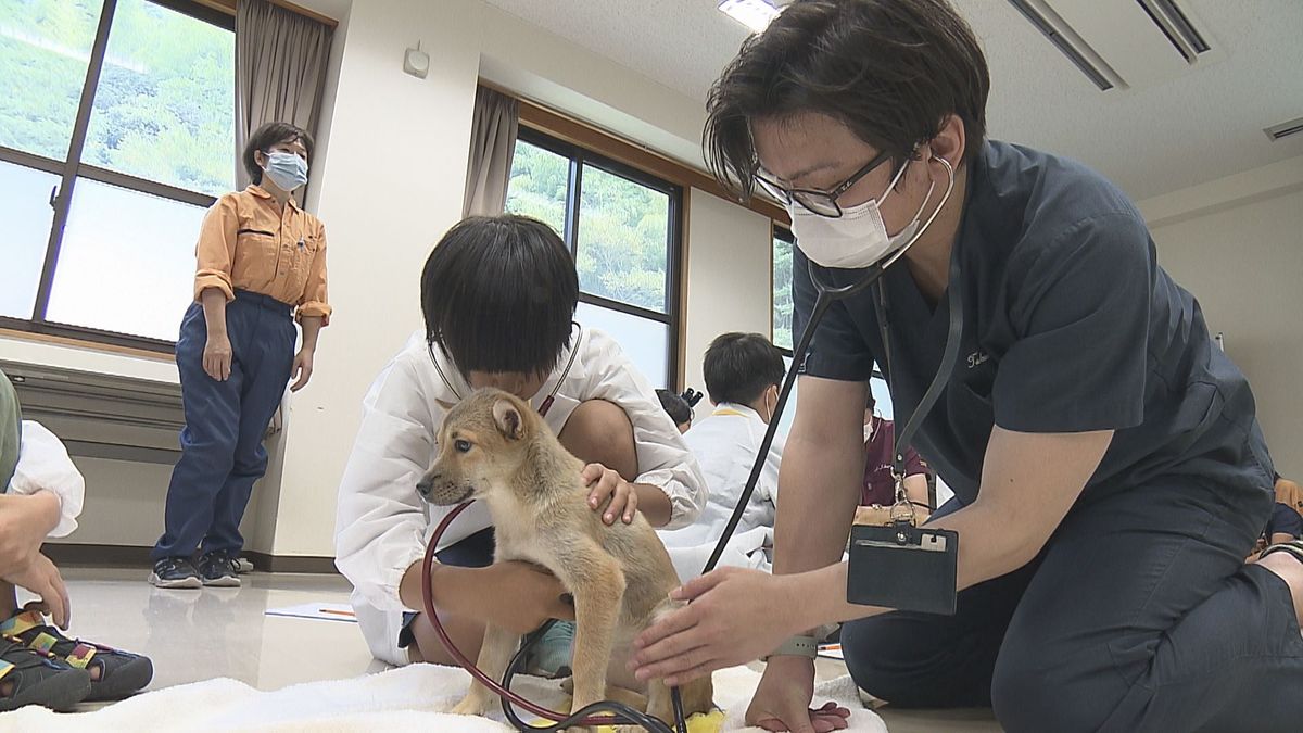 小学生が獣医の仕事を体験 命の大切さ学ぶ