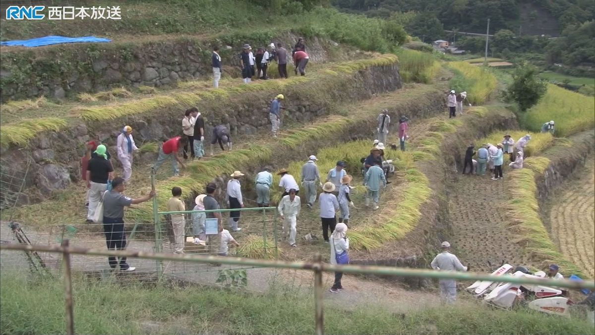 昔ながらの稲刈り　障害者施設利用者が体験　小豆島