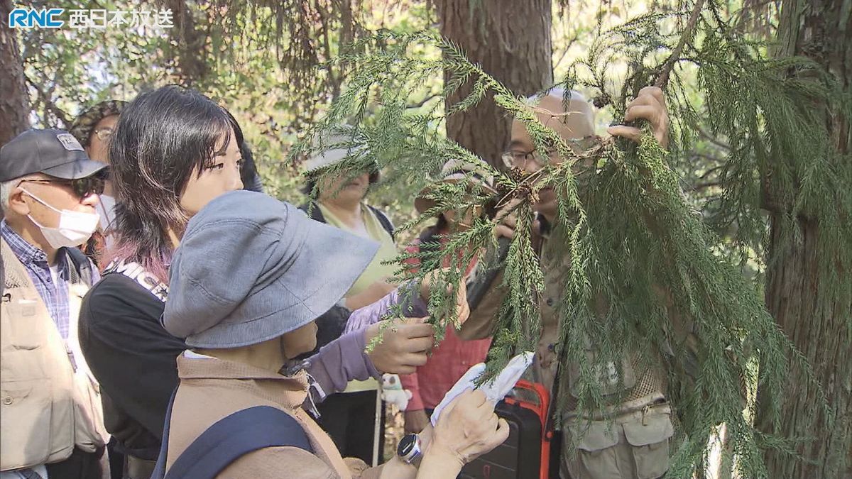 ”自然の恵み”を体感　秋の公園を散策「森のさんぽ」