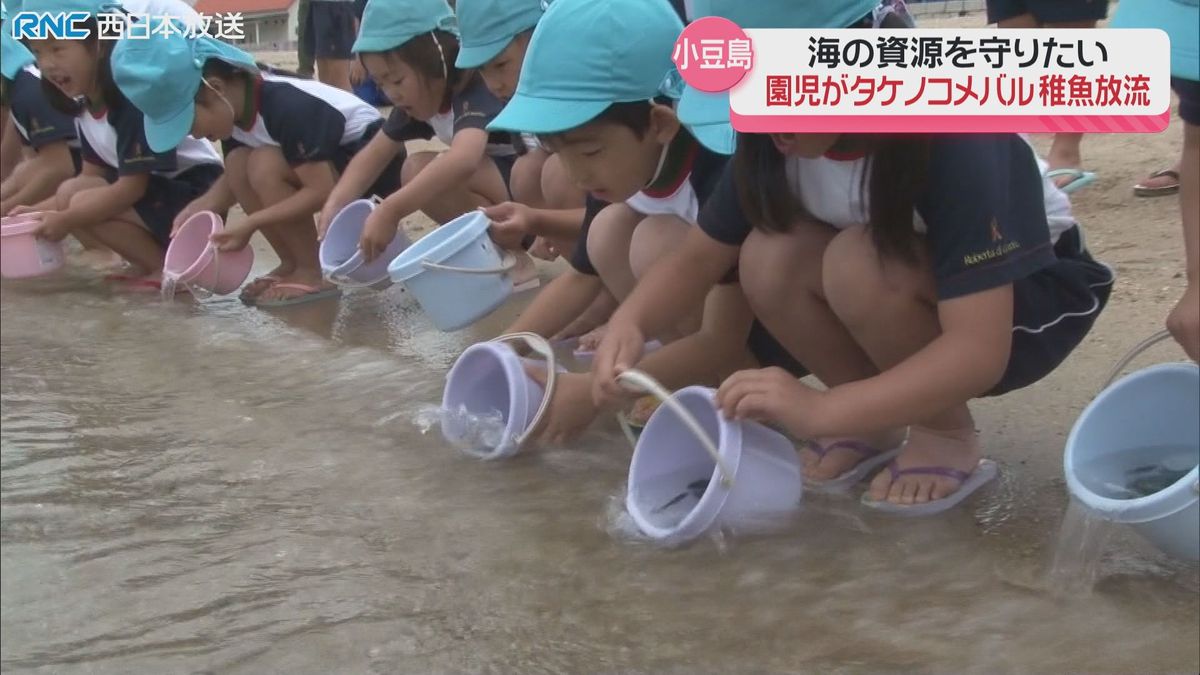 タケノコメバルの稚魚　園児が放流　小豆島