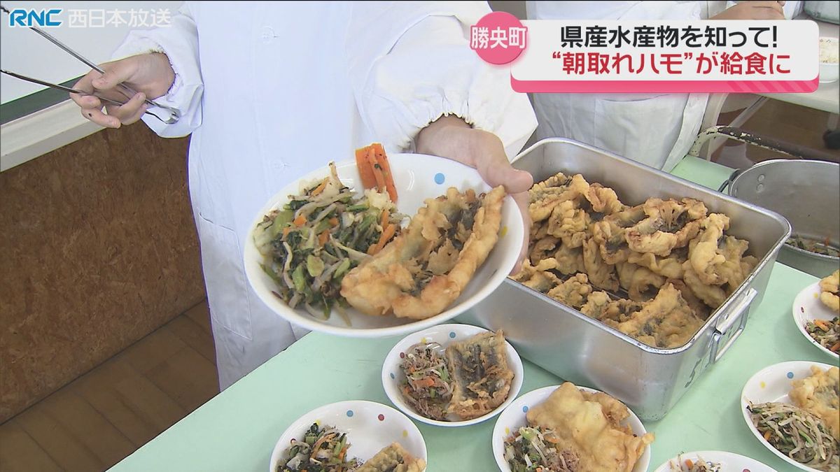 岡山県内で水揚げされた”ハモ”　天ぷらで給食に　