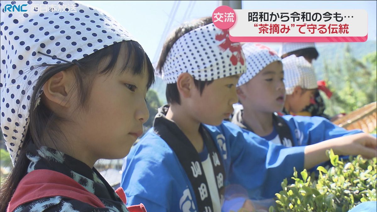 小学校の茶畑で茶摘み祭　地域のシンボルで世代を超えた交流　矢掛町
