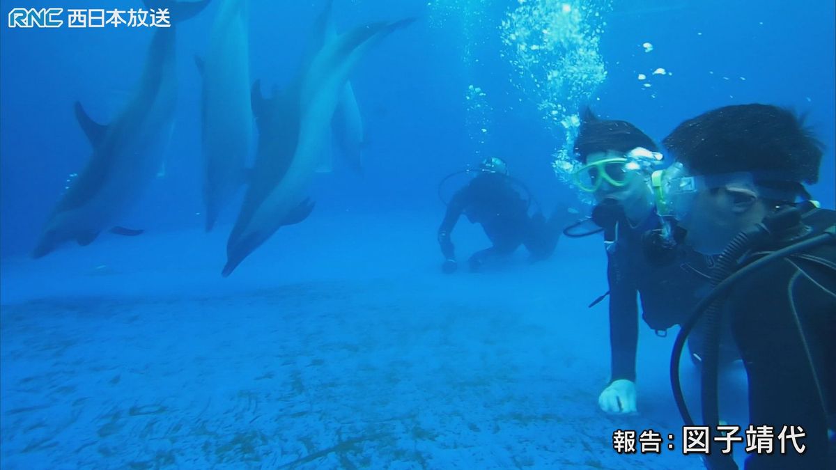 水族館「イルカのプール」高校生が掃除に参加