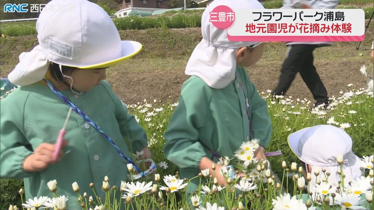 園児が花摘み体験　三豊市
