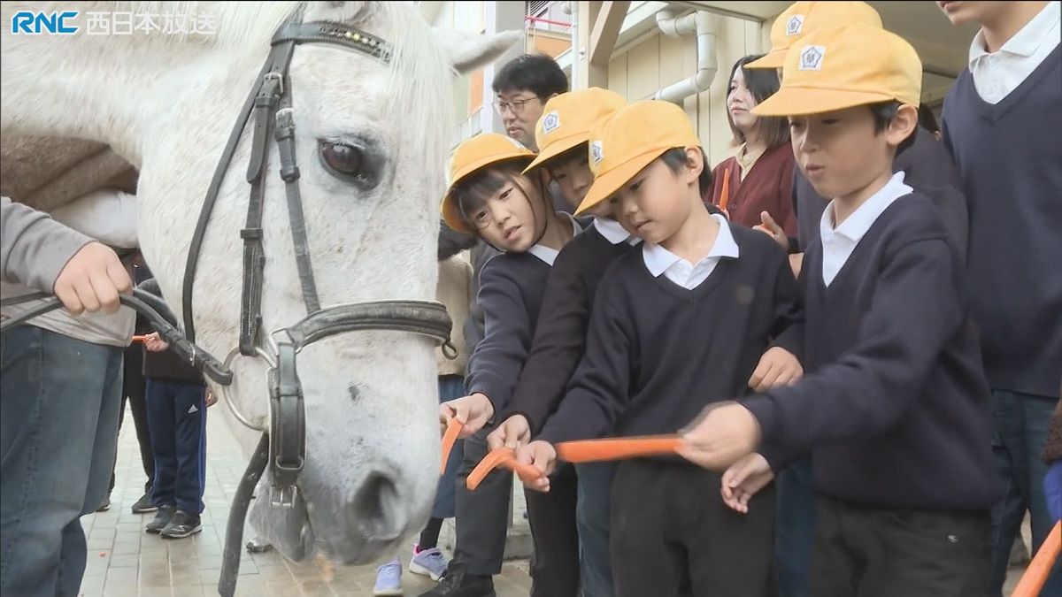 馬とふれあう特別授業　真庭市