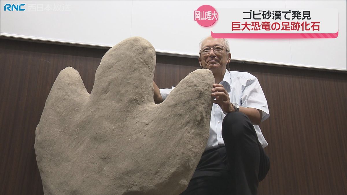 「二足歩行としては史上最大」恐竜の足跡の化石　岡山理科大学が発見