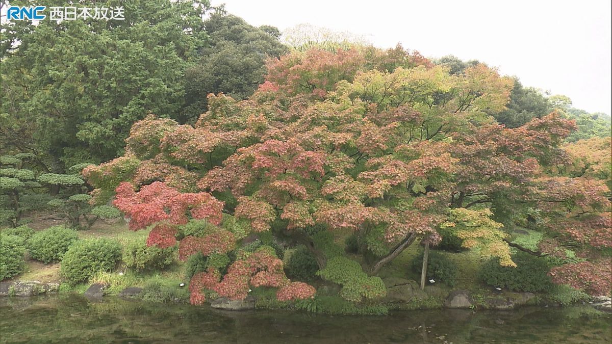 異例の暖かさ「秋の風物詩」にも影響が