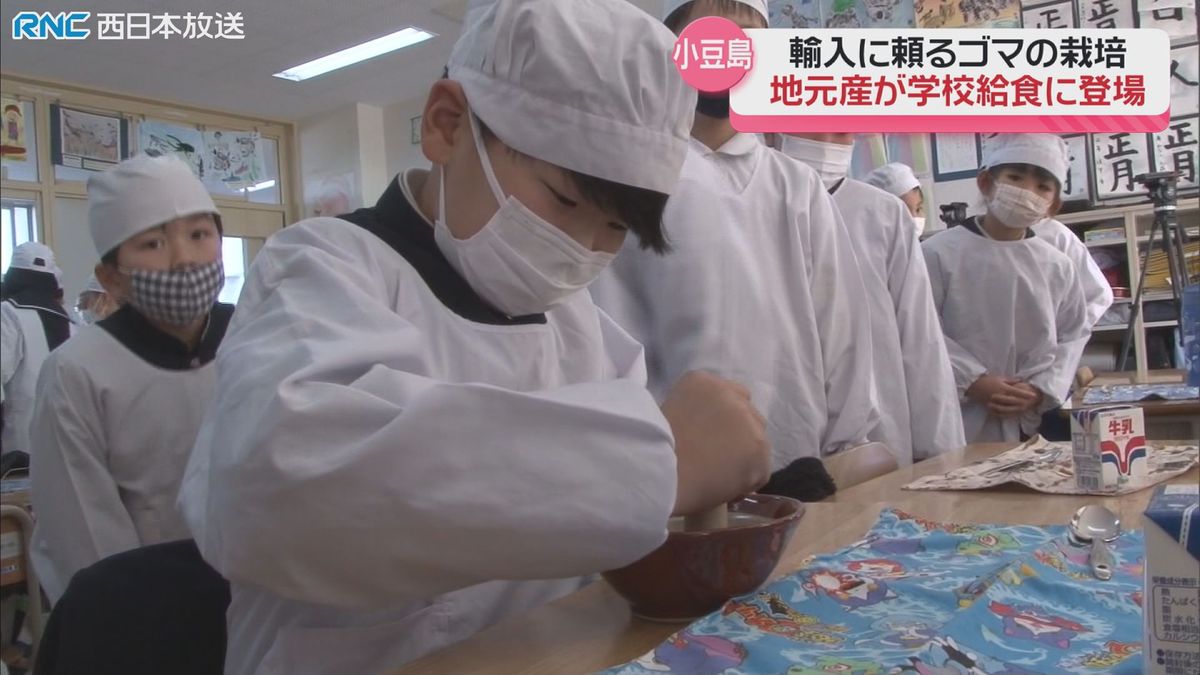 小豆島のゴマ　学校給食に登場