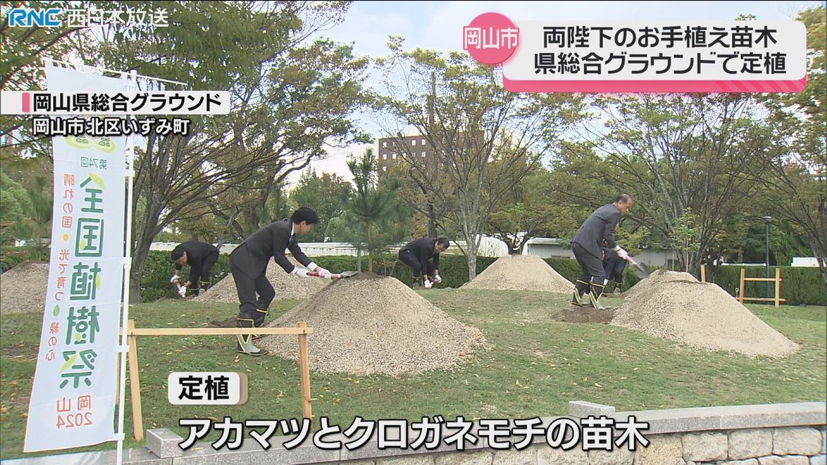 天皇皇后両陛下お手植えの苗木　県総合グラウンドに植え替え