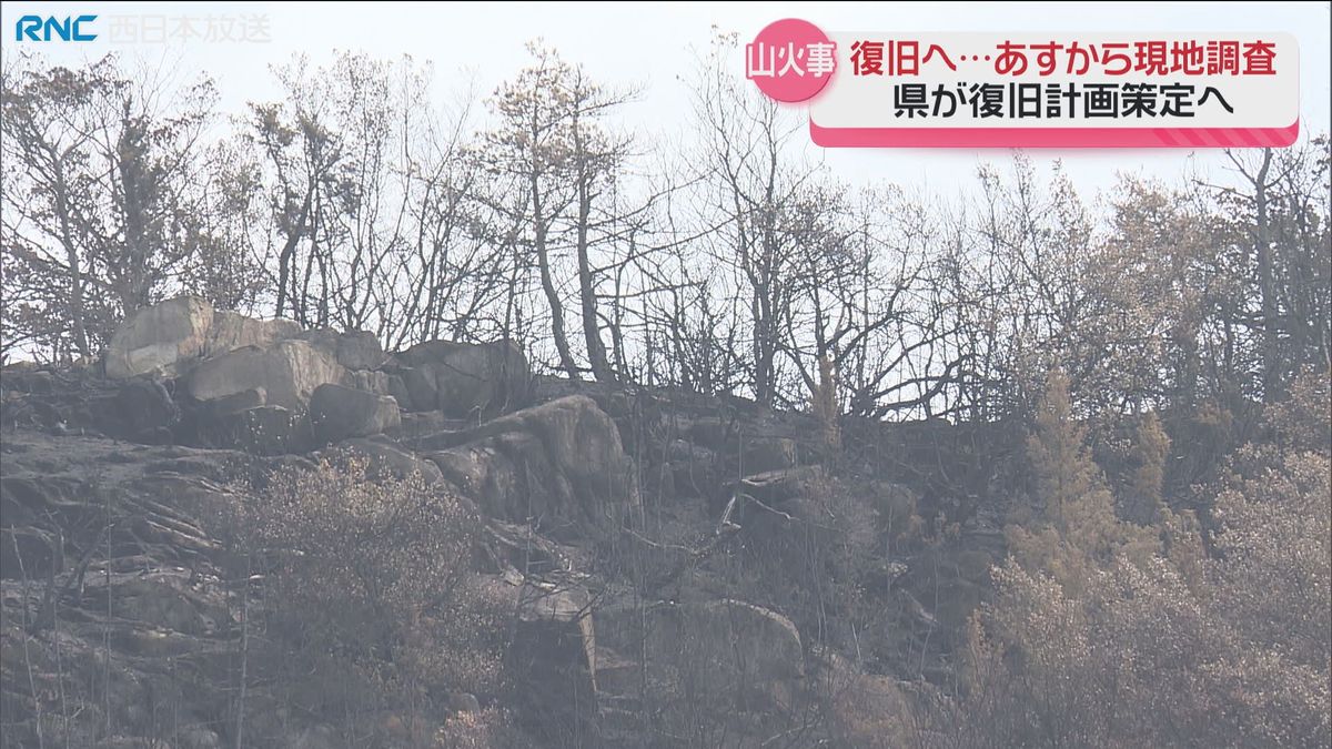 岡山市で発生の山火事　17日から現地調査　復旧計画を今年度中に策定へ