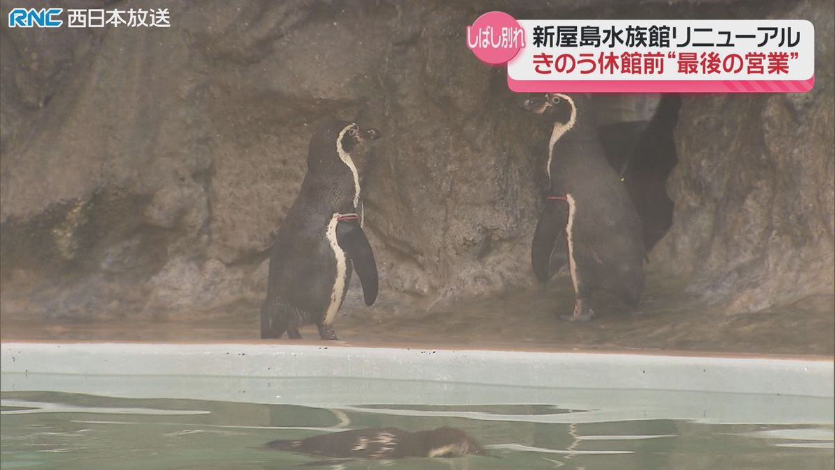 新屋島水族館　しばしの別れ