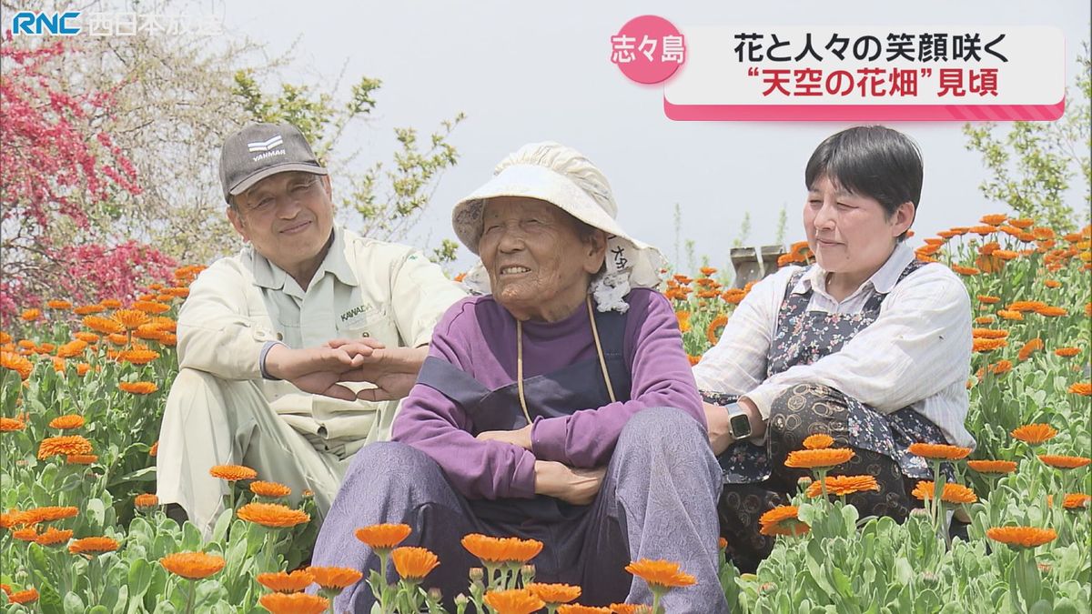 志々島「おばあちゃんの花畑」に春　三豊市