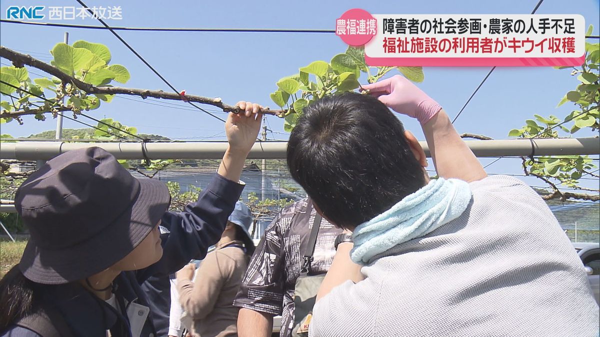 「農福連携」　福祉施設利用者が農作業体験