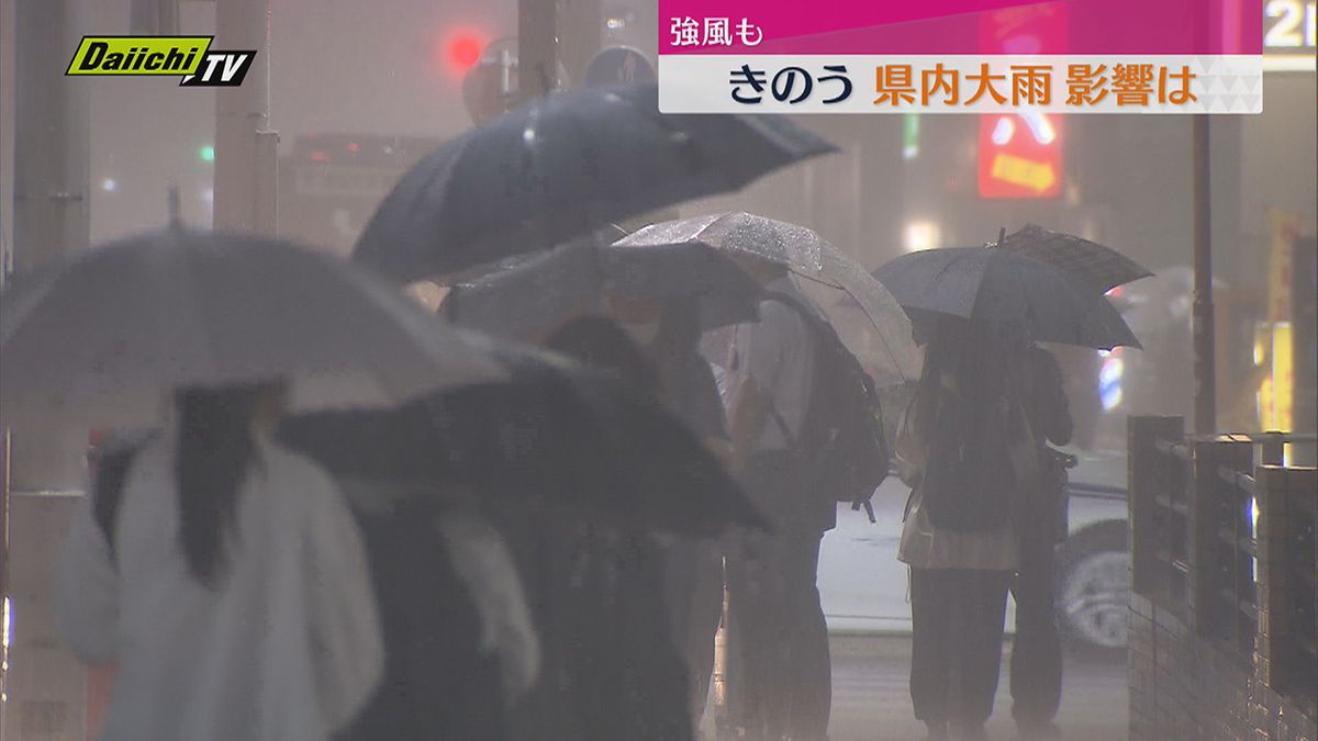 県内大雨や強風で一部交通機関に影響（静岡）