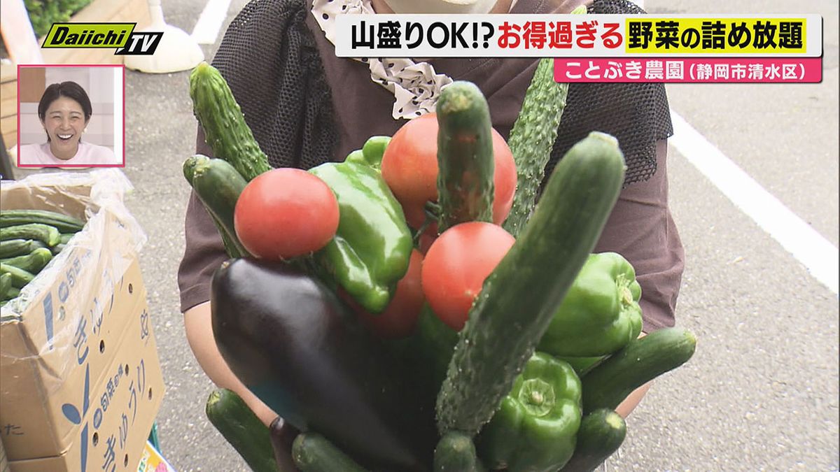 お得に楽しく】物価高ストレス発散！並んでもやりたい“野菜の詰め放題 