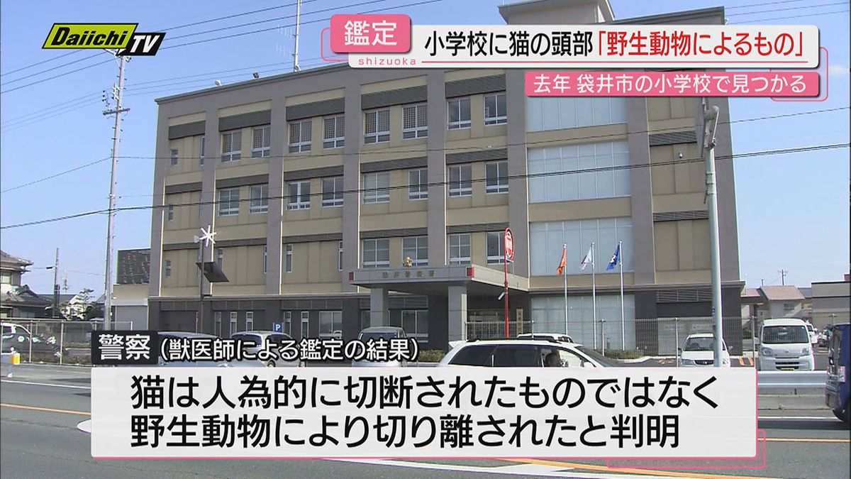 小学校で発見のネコの首　野生動物が切断か【静岡・袋井市】