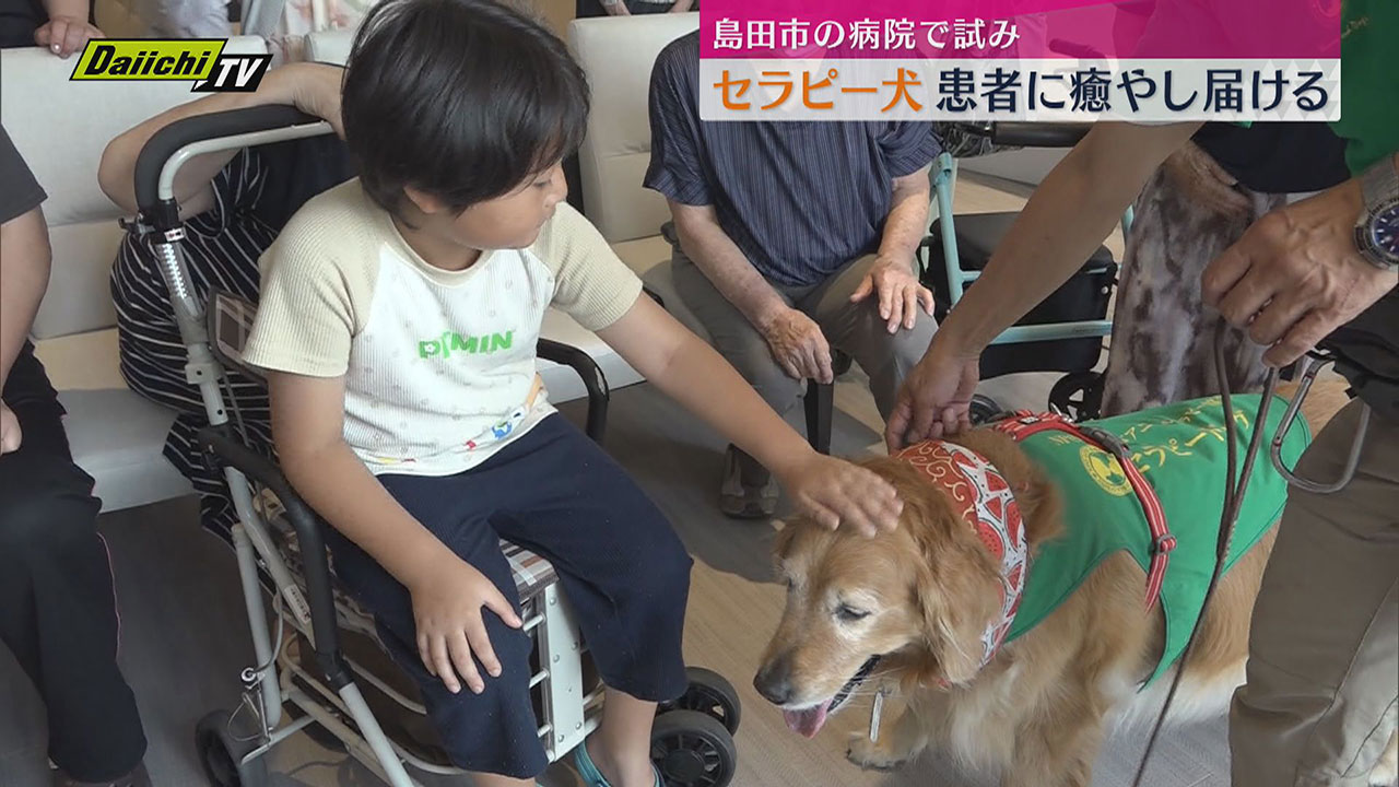 入院患者らに癒やしを届けるアニマルセラピー犬 島田市の医療施設を