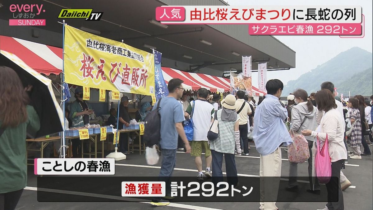 “駿河湾の宝石” サクラエビの無料配布やかき揚げに長蛇の列 「由比桜えびまつり」開催(静岡)