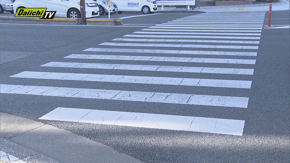 浜松市の交差点で車が道路横断中の男性をはねて軽傷を負わせて逃走したひき逃げ事件で警察は、20歳の無職の男を逮捕