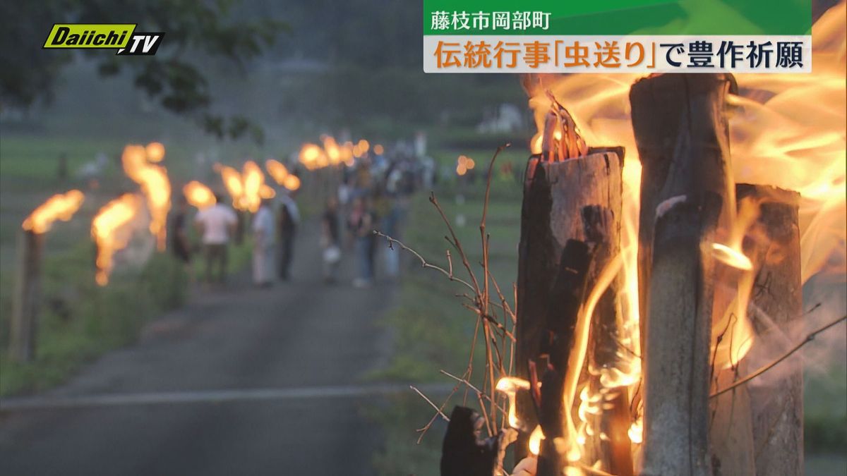 藤枝市岡部町「虫送り」：炎の中で豊作祈願！幻想的な夏の伝統行事
