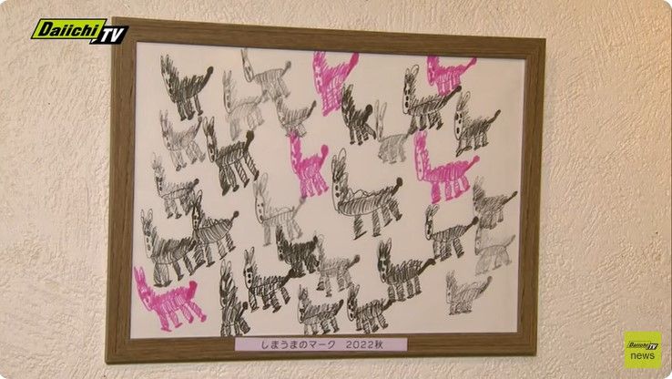 【ダウン症の少年画家】“シュールでポップ” 剛輝さんと家族の特別な思いを込めた展覧会　(every.しずおか特集)