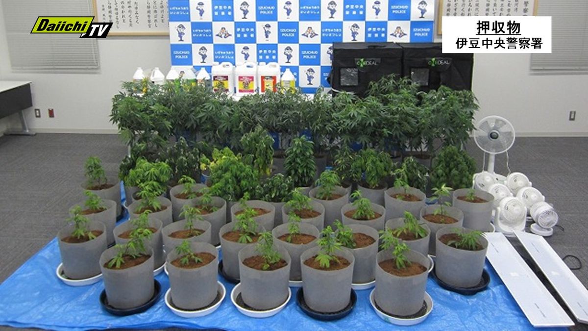 営利目的での大麻栽培などの疑い横浜市の男ら男女５人逮捕…静岡・伊豆市の別荘での大麻栽培事件捜査で発覚