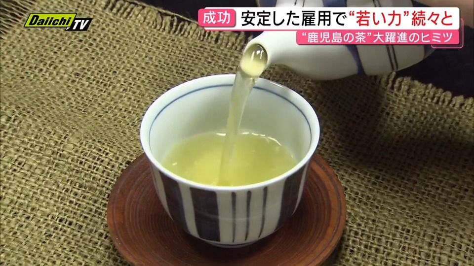 お茶王国”静岡 を抜いた「かごしま茶」約70年の努力「手摘み」から