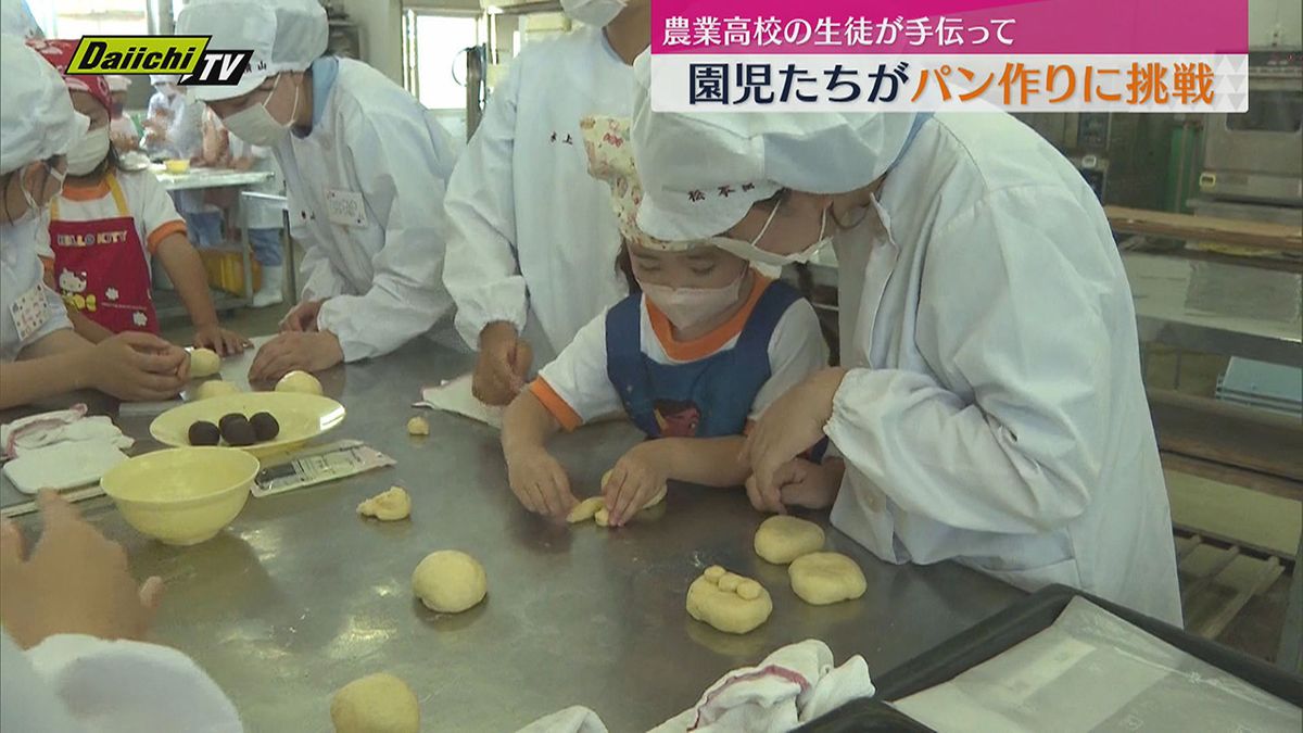 農業高校の生徒たちに手伝ってもらって　園児たちがあんパン作りに挑戦（静岡・磐田市）