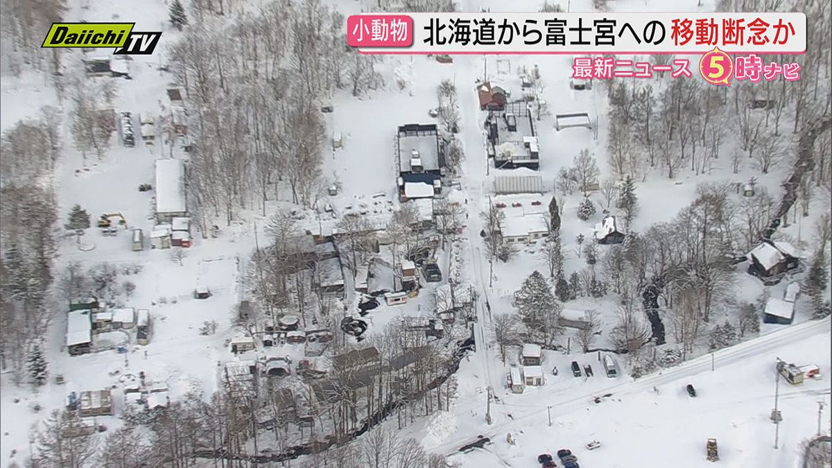 ノースサファリサッポロの運営会社　富士花鳥園（富士宮市）への動物移転を断念か（静岡・富士宮市）